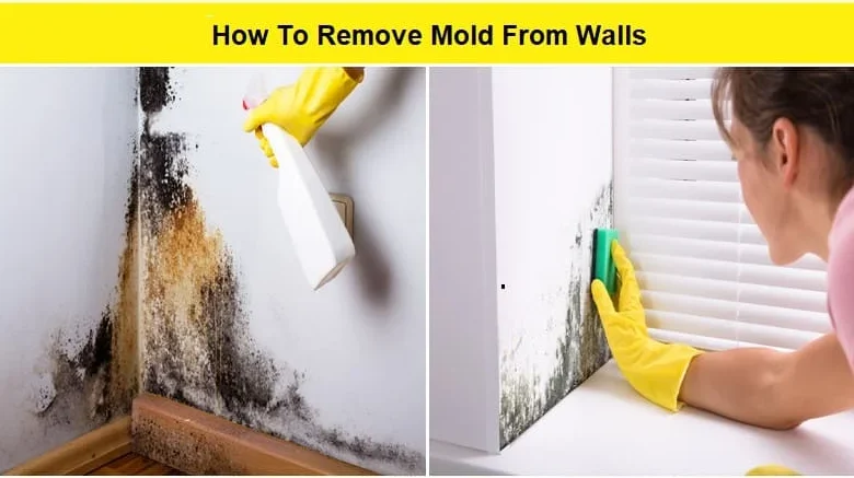 how to remove mold from walls